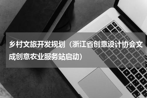 乡村文旅开发规划（浙江省创意设计协会文成创意农业服务站启动）