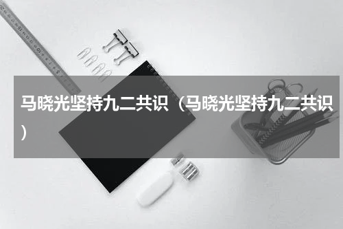 马晓光坚持九二共识（马晓光坚持九二共识）