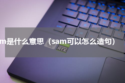 sam是什么意思（sam可以怎么造句）