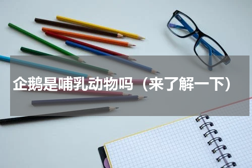 企鹅是哺乳动物吗（来了解一下）