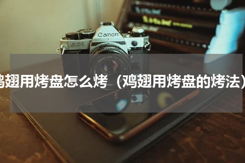 鸡翅用烤盘怎么烤（鸡翅用烤盘的烤法）