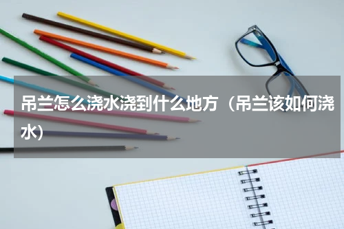 吊兰怎么浇水浇到什么地方（吊兰该如何浇水）