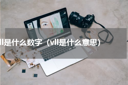 vll是什么数字（vll是什么意思）