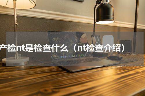 产检nt是检查什么（nt检查介绍）