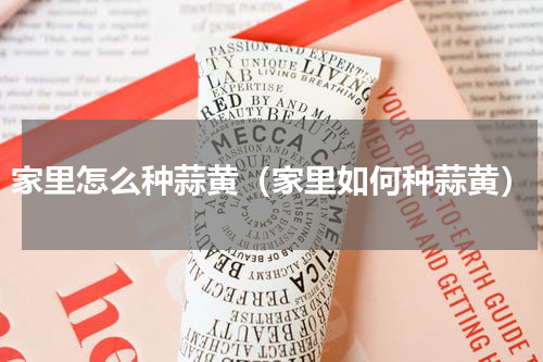 家里怎么种蒜黄（家里如何种蒜黄）