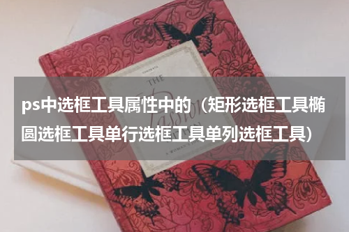 ps中选框工具属性中的（矩形选框工具椭圆选框工具单行选框工具单列选框工具）