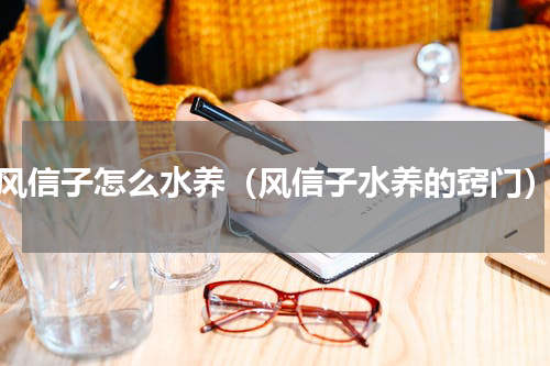 风信子怎么水养（风信子水养的窍门）
