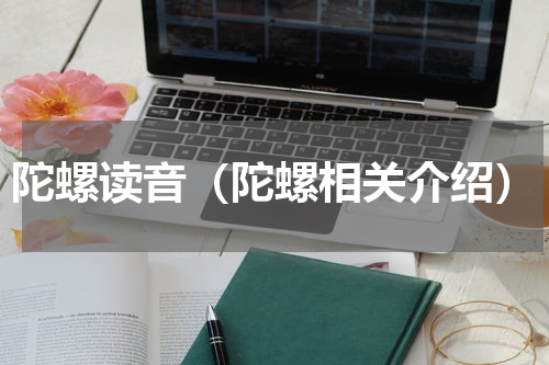 陀螺读音（陀螺相关介绍）