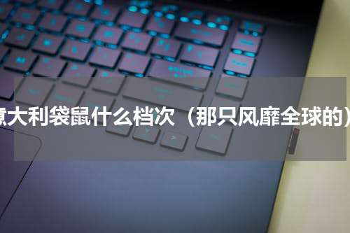 意大利袋鼠什么档次（那只风靡全球的）