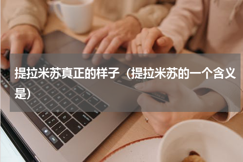 提拉米苏真正的样子（提拉米苏的一个含义是）