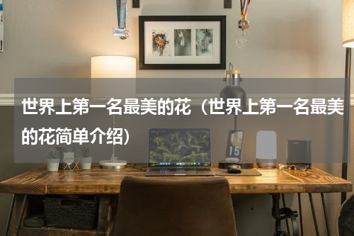世界上第一名最美的花（世界上第一名最美的花简单介绍）