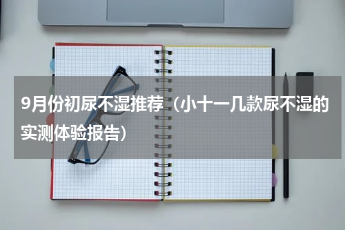 9月份初尿不湿推荐（小十一几款尿不湿的实测体验报告）
