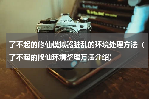 了不起的修仙模拟器脏乱的环境处理方法（了不起的修仙环境整理方法介绍）