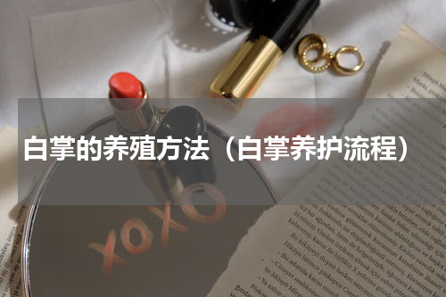 白掌的养殖方法（白掌养护流程）