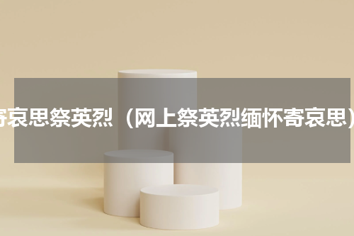 寄哀思祭英烈（网上祭英烈缅怀寄哀思）