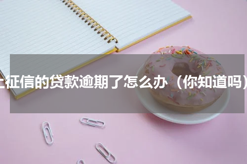 上征信的贷款逾期了怎么办（你知道吗）