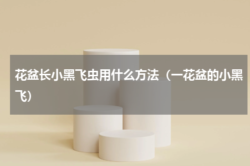 花盆长小黑飞虫用什么方法（一花盆的小黑飞）