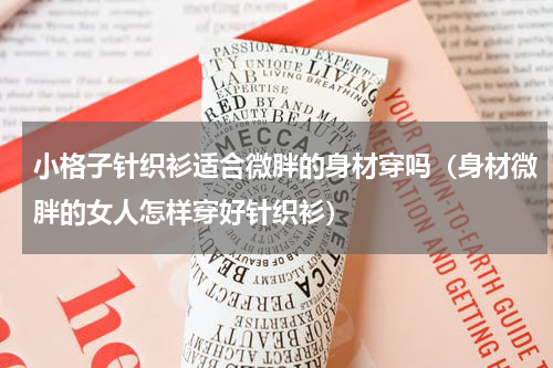 小格子针织衫适合微胖的身材穿吗（身材微胖的女人怎样穿好针织衫）