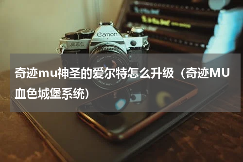 奇迹mu神圣的爱尔特怎么升级（奇迹MU血色城堡系统）