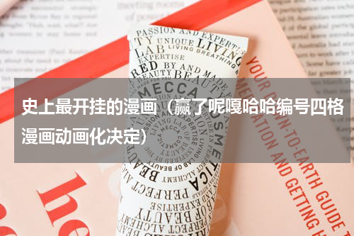 史上最开挂的漫画（赢了呢嘎哈哈编号四格漫画动画化决定）