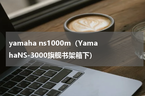 yamaha ns1000m（YamahaNS-3000旗舰书架箱下）