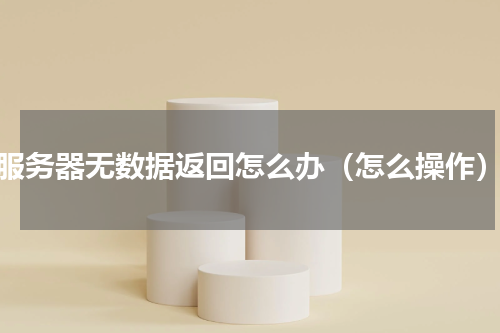 服务器无数据返回怎么办（怎么操作）