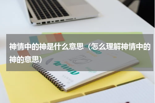 神情中的神是什么意思（怎么理解神情中的神的意思）