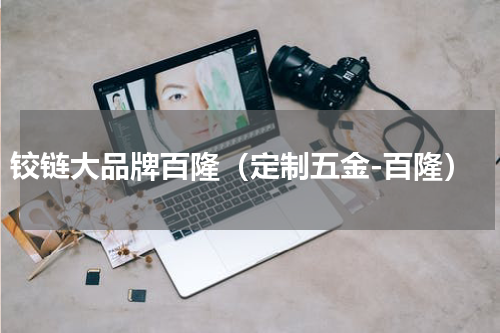 铰链大品牌百隆（定制五金-百隆）