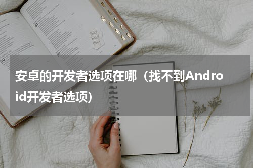 安卓的开发者选项在哪（找不到Android开发者选项）