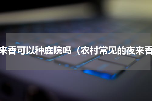 夜来香可以种庭院吗（农村常见的夜来香）