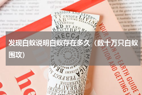 发现白蚁说明白蚁存在多久（数十万只白蚁围攻）