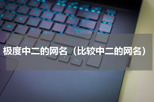 极度中二的网名（比较中二的网名）