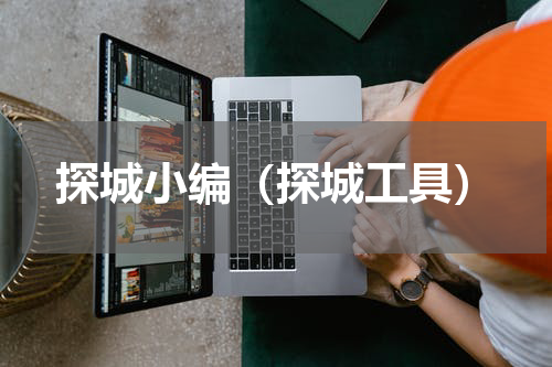 探城小编（探城工具）