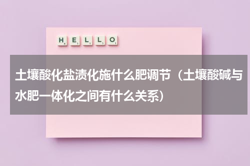 土壤酸化盐渍化施什么肥调节（土壤酸碱与水肥一体化之间有什么关系）