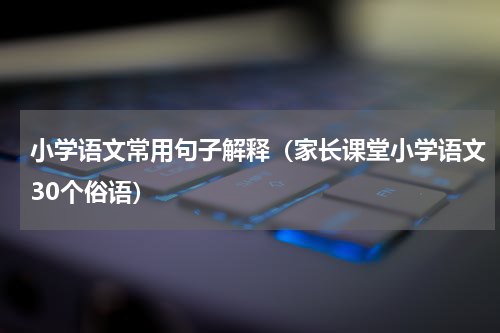 小学语文常用句子解释（家长课堂小学语文30个俗语）