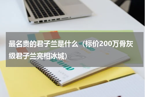 最名贵的君子兰是什么（标价200万骨灰级君子兰亮相冰城）