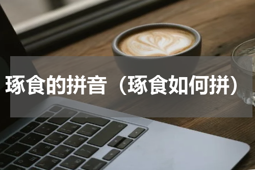 琢食的拼音（琢食如何拼）