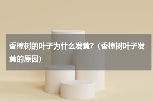 香樟树的叶子为什么发黄?（香樟树叶子发黄的原因）