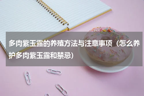多肉紫玉露的养殖方法与注意事项（怎么养护多肉紫玉露和禁忌）