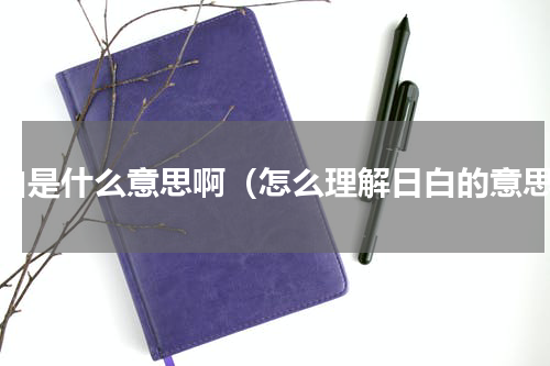 日白是什么意思啊（怎么理解日白的意思）