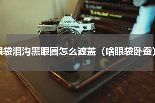 眼袋泪沟黑眼圈怎么遮盖（啥眼袋卧蚕）