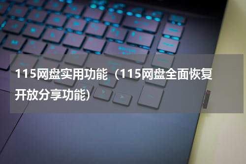 115网盘实用功能（115网盘全面恢复开放分享功能）