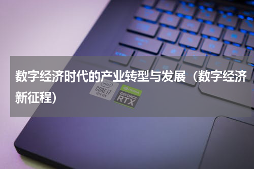 数字经济时代的产业转型与发展（数字经济新征程）
