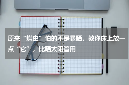 原来“螨虫”怕的不是暴晒，教你床上放一点“它”，比晒太阳管用