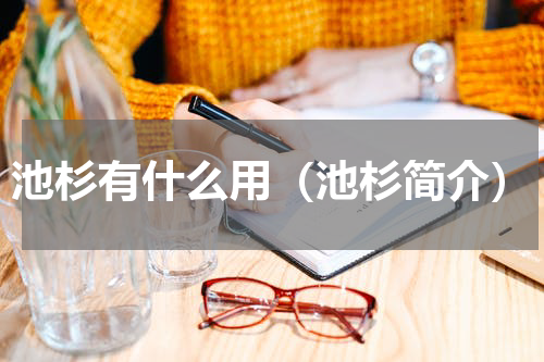 池杉有什么用（池杉简介）