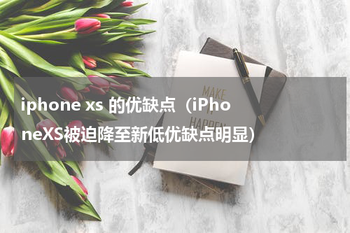 iphone xs 的优缺点（iPhoneXS被迫降至新低优缺点明显）