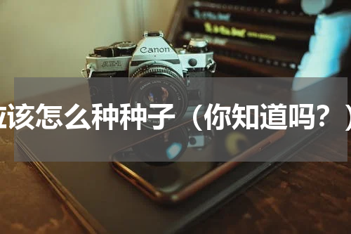 应该怎么种种子（你知道吗？）