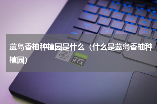 蓝岛香柚种植园是什么（什么是蓝岛香柚种植园）