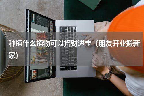 种植什么植物可以招财进宝（朋友开业搬新家）