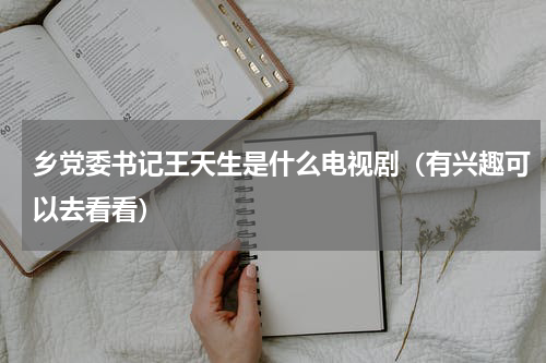 乡党委书记王天生是什么电视剧（有兴趣可以去看看）